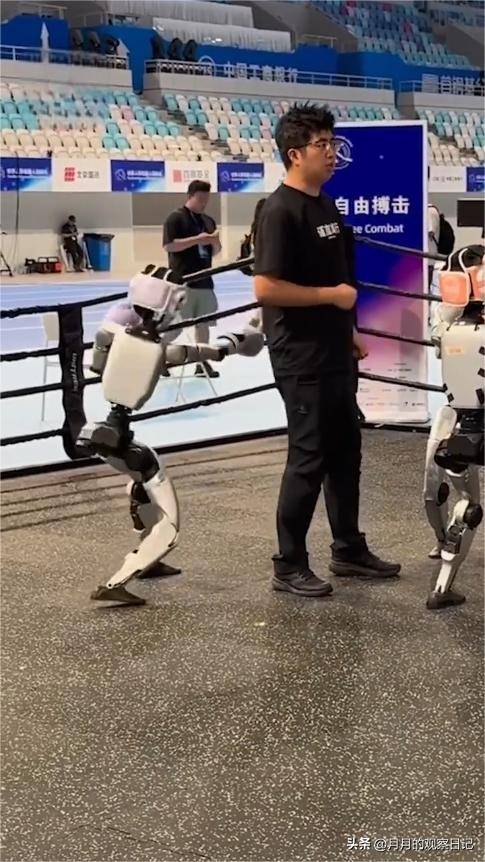 机器人似乎